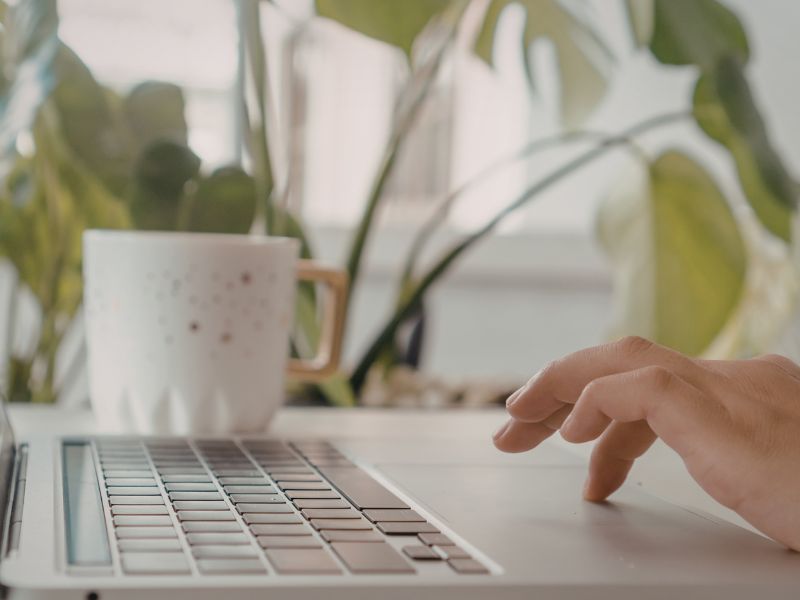 Hands typign on a laptop with house plants and a coffee cup in the background.