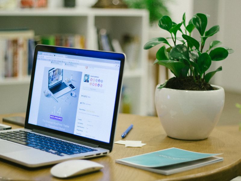 laptop and home workspace with green potted plant in background.