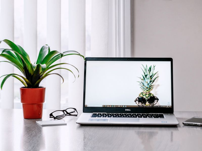 open laptop in neutral calm colors with a potted plant to the left of it