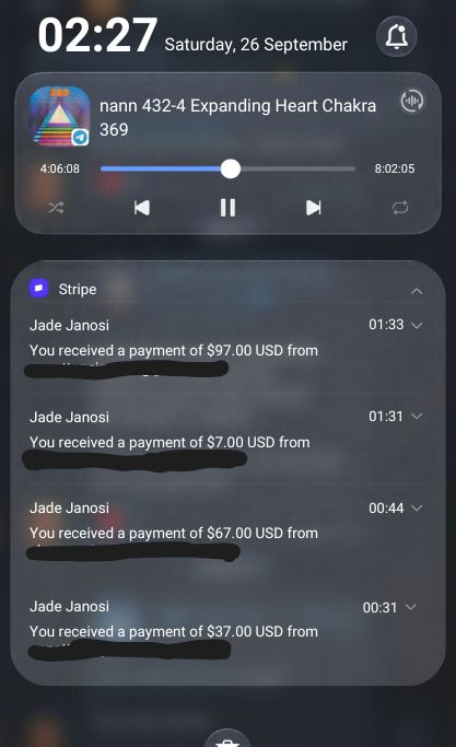 Screenshot of Jade's overnight Stripe sale notifications, proof of real sales from her own store while she slept