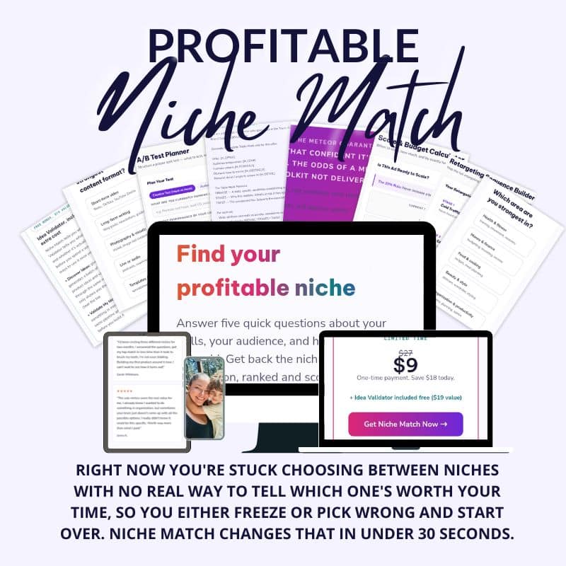 Profitable Niche Match Product Image